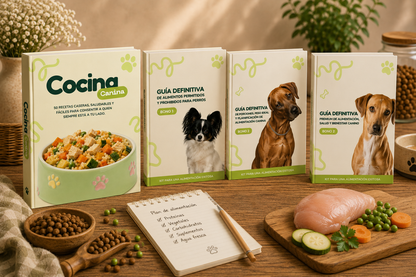 Mejorá la alimentación de tu perro en 30 días